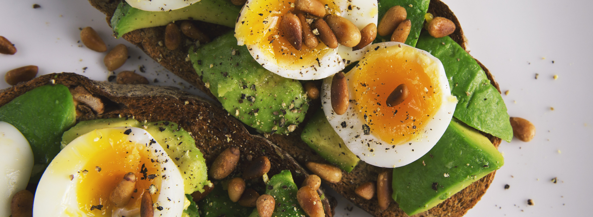 Why is protein important